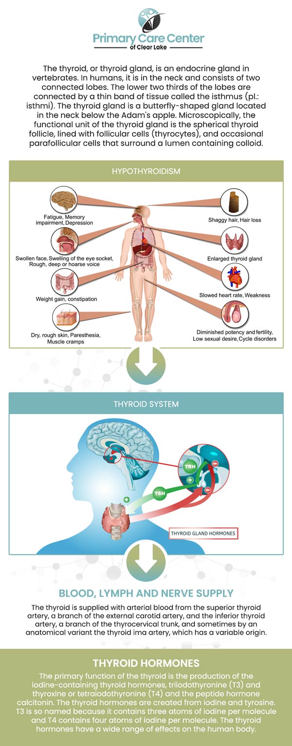 At Primary Care of Clear Lake, personalized treatment programs for thyroid disorders such as hypothyroidism and hyperthyroidism can be provided by Dr. Smriti Choudhary, MD, depending on your symptoms and thyroid hormone levels. Our team also offers guidance on lifestyle changes, such as diet and exercise, to support overall thyroid health. For more information, please contact us or schedule an appointment online. We have convenient locations to serve you in Webster and Pasadena, TX.